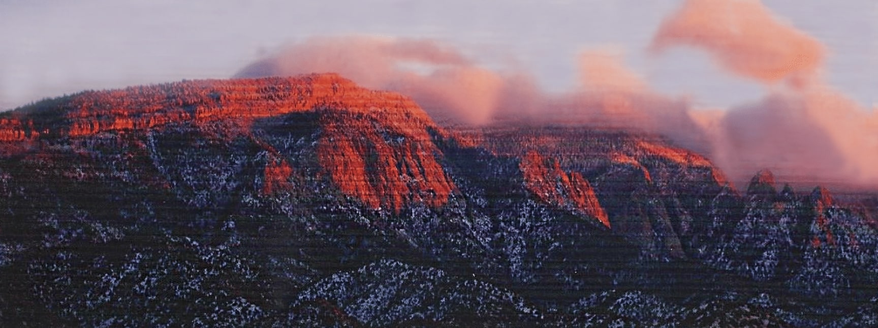 Holbrook Steven E Dmd PC