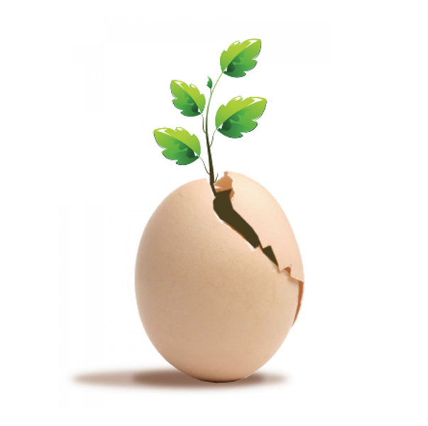 BreakThroughs Outpatient Treatment