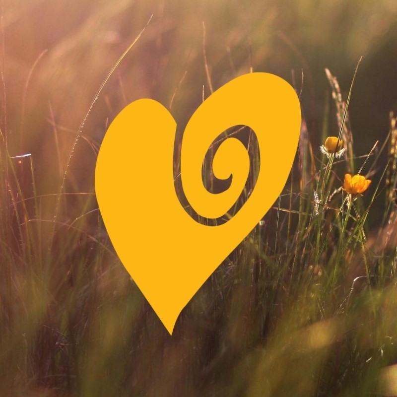 Grace Counseling Center Lewisville