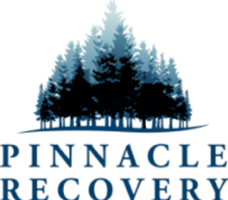Pinnacle Recovery