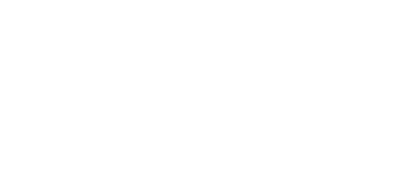 Mount Rogers Community Services Board ACT
