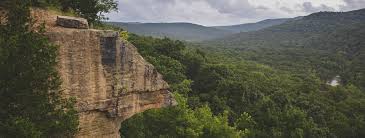 Maxus DBA Arkansas Counseling Assocs