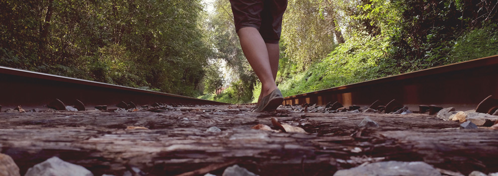 Alcohol and Drug Abuse Council