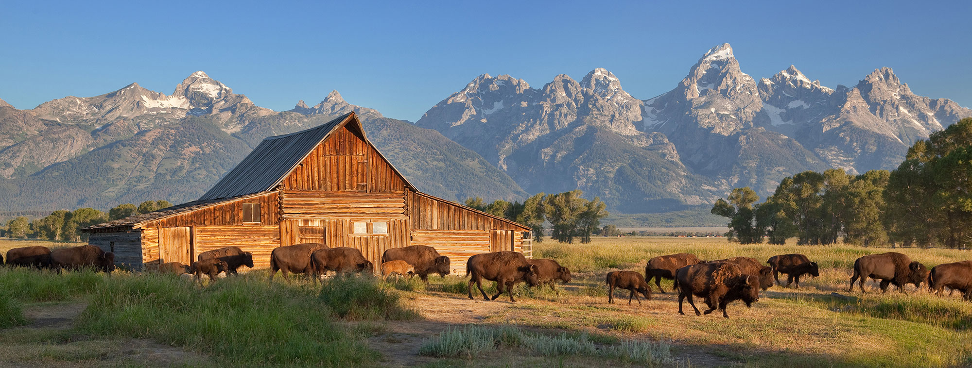 Idaho addiction rehab near you