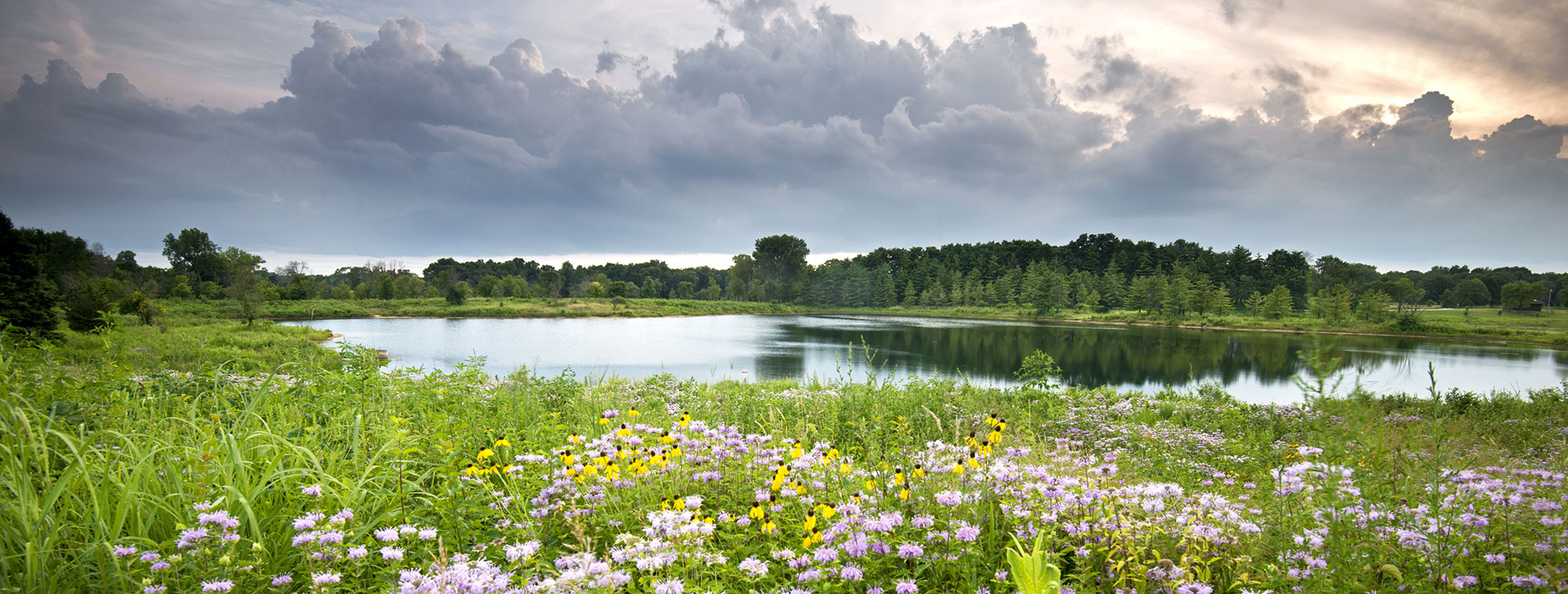 Illinois addiction rehab near you