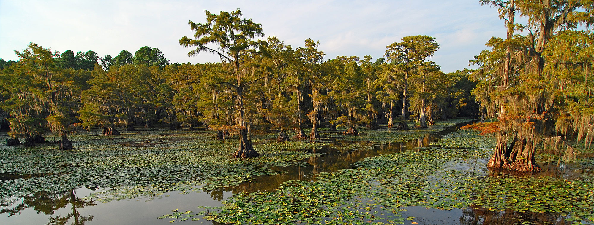 Louisiana addiction rehab near you
