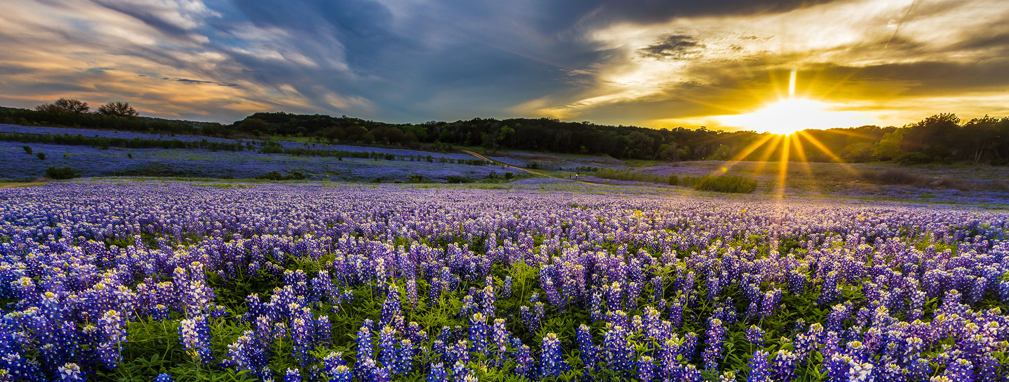 Texas addiction rehab near you